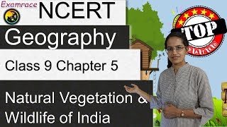 NCERT Class 9 Geography Chapter 5 Natural Vegetation amp Wildlife of India  English  CBSE [upl. by Ynoble]