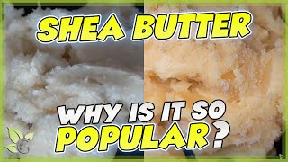 SHEA BUTTER how to identify the REAL from the FAKE [upl. by Lefkowitz788]