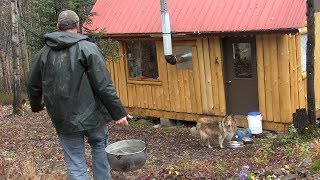 Life in an Off Grid Cabin [upl. by Manuela]