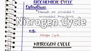 Nitrogen cycle  Nitrogen fixation [upl. by Alracal]