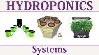 Best Hydroponics Systems [upl. by Vastha98]