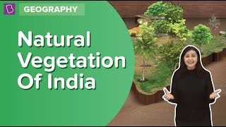 Natural Vegetation Of India  Class 6  Geography  Learn With BYJUS [upl. by Eeclehc128]