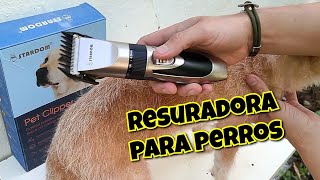 Pet Clipper stardom  Maquina para Perros  Como usar  Es Buena [upl. by Droc464]