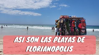 Playas de Florianopolis [upl. by Ylsew180]