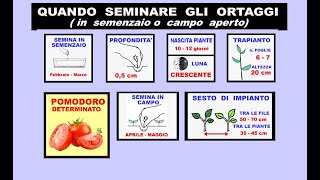 IL PERIODO DELLA SEMINA DEGLI ORTAGGI [upl. by Eicnahc]