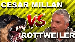 Cesar Millan vs OVERPROTECTIVE Rottweiler [upl. by Ayin570]