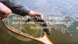 How to Fish Water Boatman and Backswimmer Fly Fishing Strategies  GoFishBC [upl. by Annaek49]