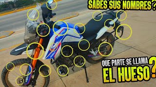 ✅ PARTES de una MOTO y ACCESORIOS Sus Nombres y Utilidad [upl. by Arannahs]