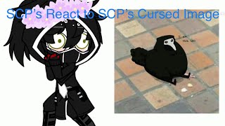 SCP’s React To SCP’s Cursed Image  Thank you for 300 subs OLD [upl. by Frank]