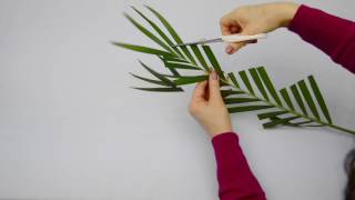 Ikebana Tips by Junko 16 more fun modifying leaves [upl. by Bortz]