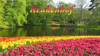 Keukenhof 2018 [upl. by Aitnuahs]