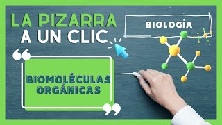 ¿Qué son las Biomoléculas Orgánicas  CPECH TE AYUDA [upl. by Alletnahs]