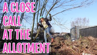 CLOSE CALL AT THE ALLOTMENT  ALLOTMENT GARDENING UK [upl. by Edyak]