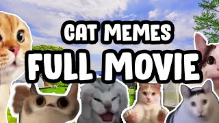 CAT MEMES ROAD TRIP COMPILATION [upl. by Niwrad]