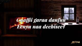 HACAALUU HUNDEESSAA  HIN SEENEE  Lyrics [upl. by Herculie983]