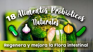 18 ALIMENTOS PROBIÓTICOS naturales  Regenera y mejora la Flora intestinal [upl. by Carley364]