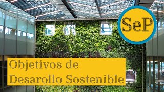 ¿Qué es el desarrollo sostenible [upl. by Roscoe]