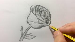 Cómo dibujar una rosa paso a paso [upl. by Leontyne749]