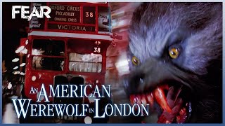 The Piccadilly Circus Rampage  An American Werewolf In London 1981 [upl. by Nylevol]