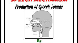 Production of Speech Sounds [upl. by Samira]