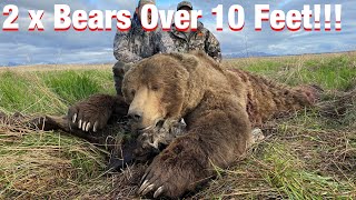 S20Ep6 SelfGuided 2 Monster Alaskan Brown Bears Over 10 Feet [upl. by Metts388]