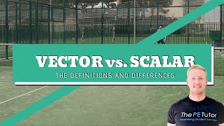 The Difference Between Vector and Scalar [upl. by Eachelle]