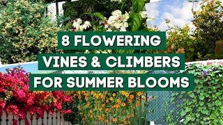 7 Best Flowering Vines amp Climbers to Plant for Summer Blooms 🌺  PlantDo Garden 💚 [upl. by Norehc752]