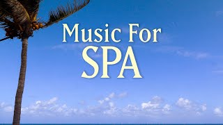 8 HOURS SPA MUSIC PLAYLIST  Healing Arts Massage amp Meditation  with Earth Resonance Frequency [upl. by Story]