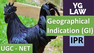 Protection of Geographical Indications  YG Law [upl. by Arsuy]