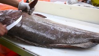 Fish Filleting Grouper [upl. by Willing]