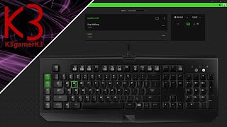 Razer Macros How to Toggle  Hold Any Key or Mouse Button on Synapse 3 [upl. by Kendra619]