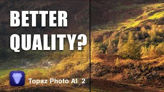 Testing The Topaz Photo AI Workflow [upl. by Mattie]