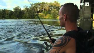 Pêche du silure sur la Garonne  Globe Fishing  LotetGaronne 55 [upl. by Tal]