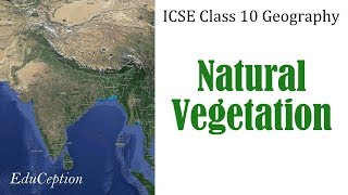 NATURAL VEGETATION  ICSE Class 10 Geography [upl. by Mosi359]