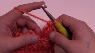 Crochet 2 tr Cluster St  BEGINNER  The Crochet Crowd [upl. by Ellimahs]