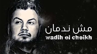 Wadih El Cheikh  Mech Nedman  وديع الشيخ  مش ندمان [upl. by Decrem]