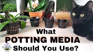 How To Choose The Right Potting Medium for Your Orchid [upl. by Renato]