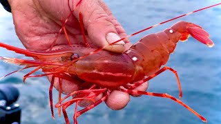 How to Catch Spot Prawns Shrimp Alaska [upl. by O'Grady189]