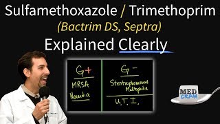 SulfamethoxazoleTrimethoprim Bactrim Septra Uses Coverage Dosage UTI Treatment Etc [upl. by Akemyt]