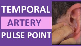 Temporal Pulse Point Palpation Location and Nursing Assessment [upl. by Aibat]