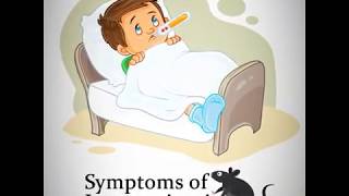 What are the Signs and Symptoms of Leptospirosis [upl. by Earehc]