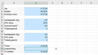 Percentages berekenen in Excel [upl. by Diane]