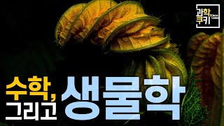 논리의 결정체 수학으로 생물을 연구한다는 것은 무엇을 의미하는걸까 [upl. by Anassor323]