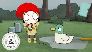 Sarah and Duck Official  20 mins  Full Episodes 4 [upl. by Ellenad113]