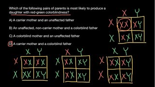 RedGreen Color Blindness inheritance patterns explained [upl. by Nalod]