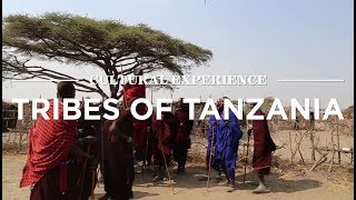 Cultural Experience Tribes Of Tanzania  Safari365 [upl. by Hama]