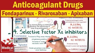 Apixaban Eliquis as blood thinner  Mechanism precautions amp interactions [upl. by Robbins]