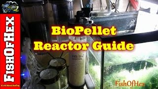 In Depth Guide To BioPellet Reactors  Subscriber Request [upl. by Yeta]