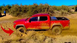 OffRoad Challenge  TRD Vs SR5 Tacoma [upl. by Anawqahs782]