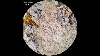 Hornblende tutorial Optical mineralogy [upl. by Alon143]